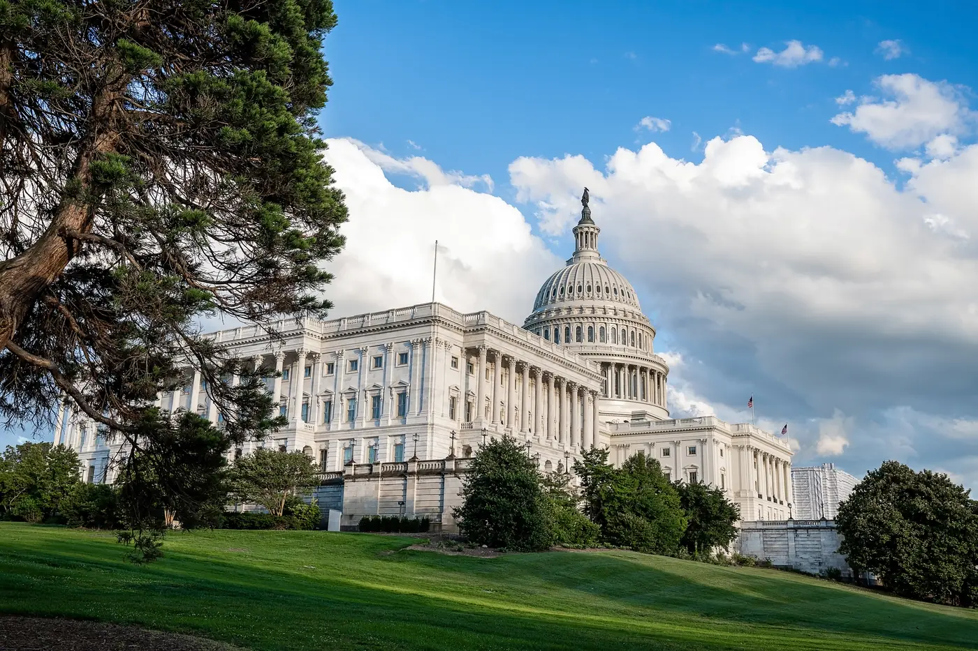 Government and public sector